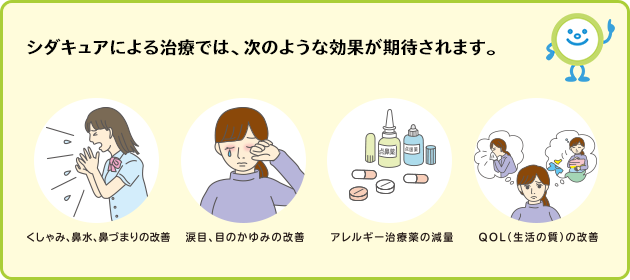 シダキュアによる治療では、次のような効果が期待されます。（くしゃみ、鼻水、鼻づまりの改善 涙目、目のかゆみの改善 アレルギー治療薬の減量 QOL（生活の質）の改善）