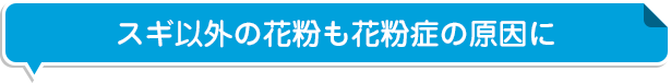 スギ以外の花粉も花粉症の原因に