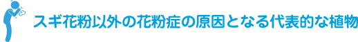 スギ花粉以外の花粉症の原因となる代表的な植物