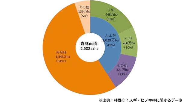 ※出典：林野庁：スギ・ヒノキ林に関するデータ