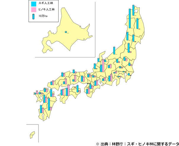※ 出典：林野庁：スギ・ヒノキ林に関するデータ