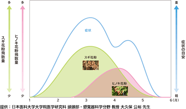 提供：日本医科大学大学院医学研究科 頭頸部・感覚器科学分野 教授 大久保 公裕 先生