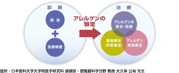 提供：日本医科大学大学院医学研究科 頭頸部・感覚器科学分野 教授 大久保 公裕 先生