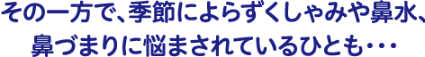 その一方で、季節によらずくしゃみや鼻水、鼻づまりに悩まされているひとも・・・