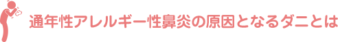 通年性アレルギー性鼻炎の原因となるダニとは