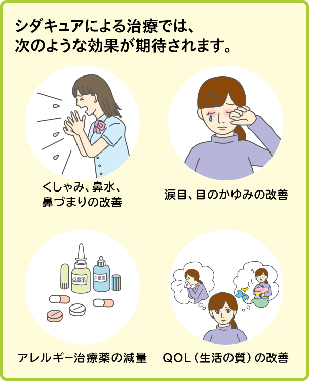 シダキュアによる治療では、 次のような効果が期待されます。 くしゃみ、鼻水、鼻づまりの改善 涙目、目のかゆみの改善 アレルギー治療薬の減量 QOL（生活の質）の改善