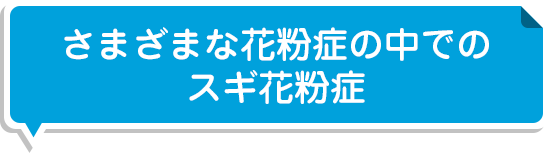 さまざまな花粉症の中でのスギ花粉症