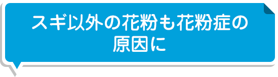 スギ以外の花粉も花粉症の原因に