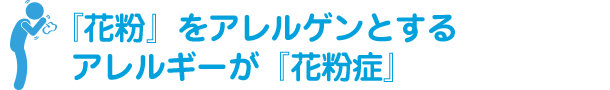 『花粉』をアレルゲンとするアレルギーが『花粉症』