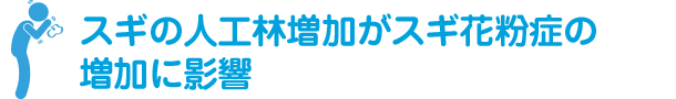 スギの人工林増加がスギ花粉症の増加に影響