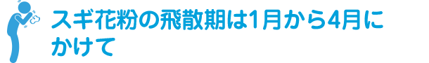 スギ花粉の飛散期は1月から4月にかけて