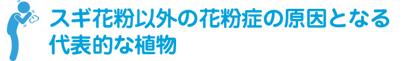 スギ花粉以外の花粉症の原因となる代表的な植物
