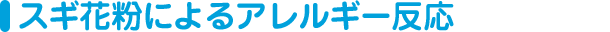 スギ花粉によるアレルギー反応