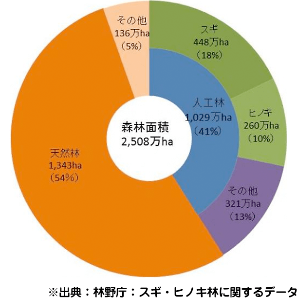 ※出典：林野庁：スギ・ヒノキ林に関するデータ