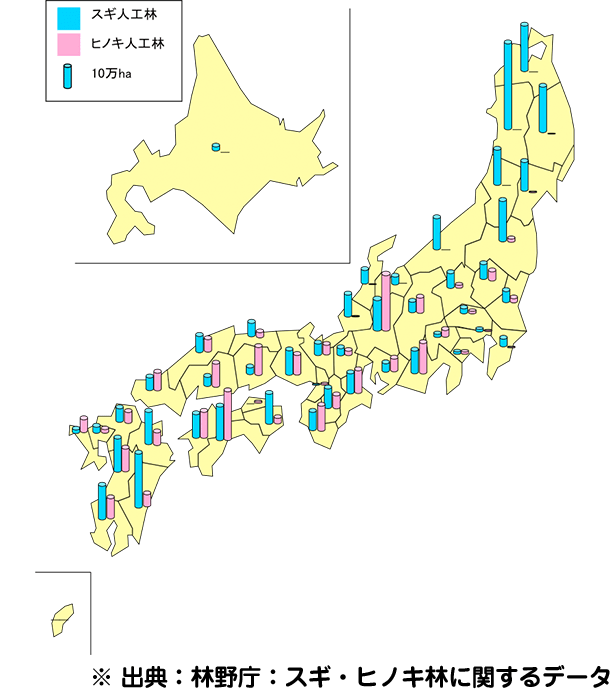 ※ 出典：林野庁：スギ・ヒノキ林に関するデータ