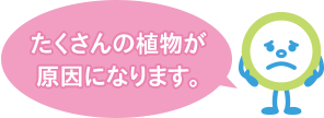 たくさんの植物が原因になります。