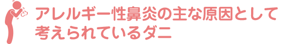 アレルギー性鼻炎の主な原因として考えられているダニ